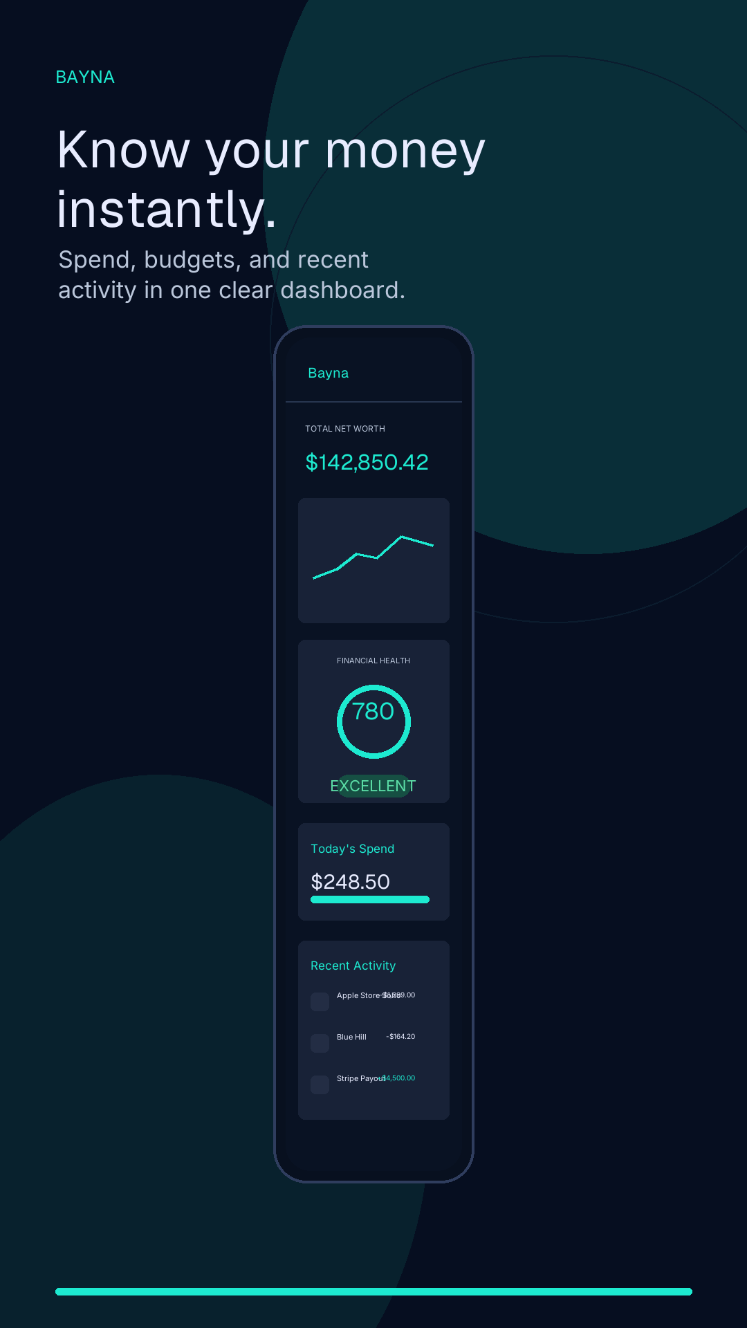Bayna dashboard overview screen